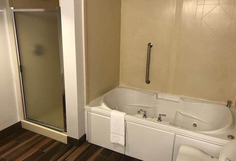 带按摩浴盆的套房, Hampton Inn & Suites Lamar