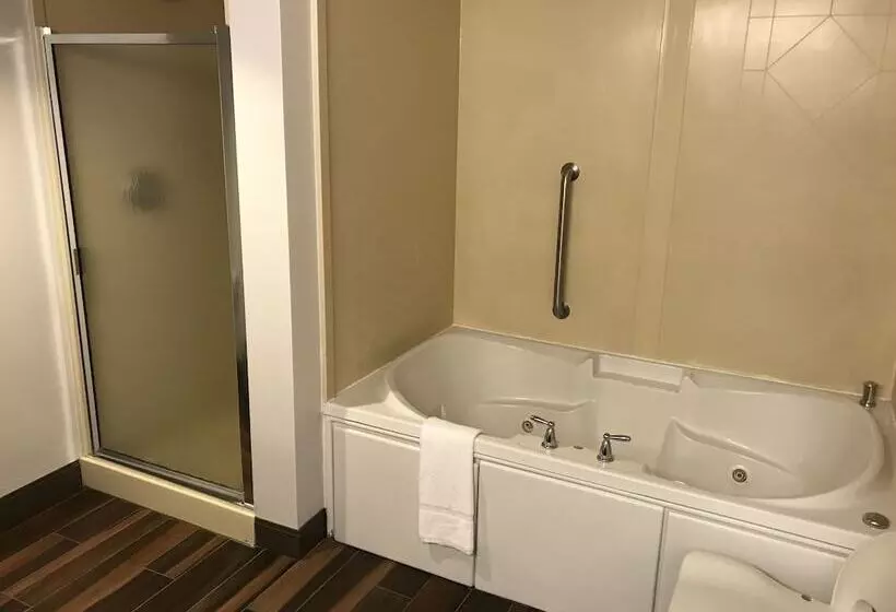 ハイドロマッサージバス付きスイート, Hampton Inn & Suites Lamar