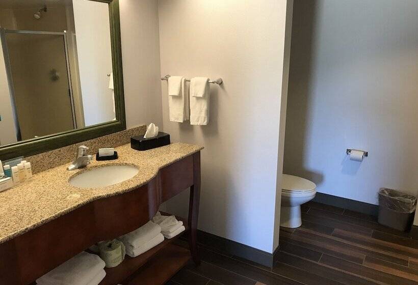 带按摩浴盆的套房, Hampton Inn & Suites Lamar