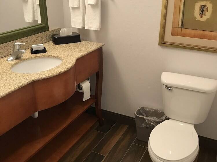 带按摩浴盆的套房, Hampton Inn & Suites Lamar