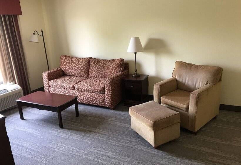 带按摩浴盆的套房, Hampton Inn & Suites Lamar