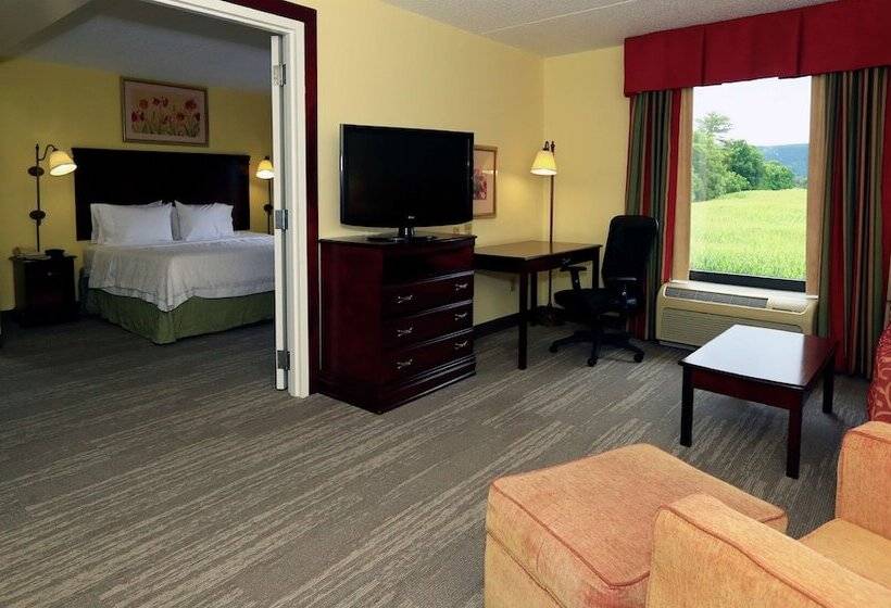 带按摩浴盆的套房, Hampton Inn & Suites Lamar