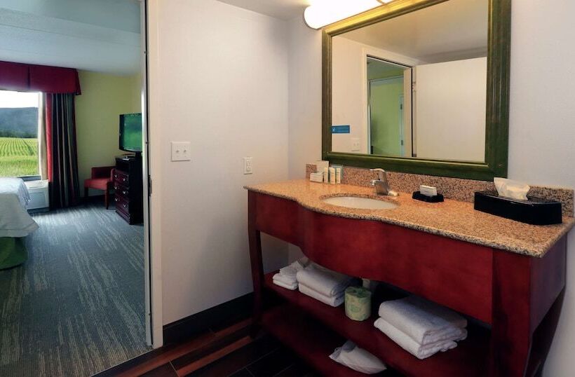 带按摩浴盆的套房, Hampton Inn & Suites Lamar