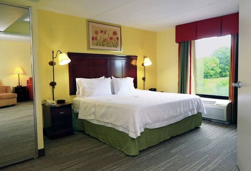 带按摩浴盆的套房, Hampton Inn & Suites Lamar