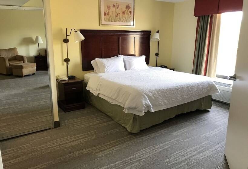 带按摩浴盆的套房, Hampton Inn & Suites Lamar