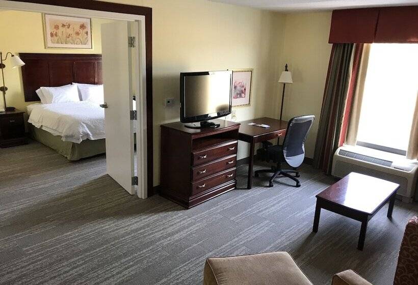 자쿠지 스위트, Hampton Inn & Suites Lamar