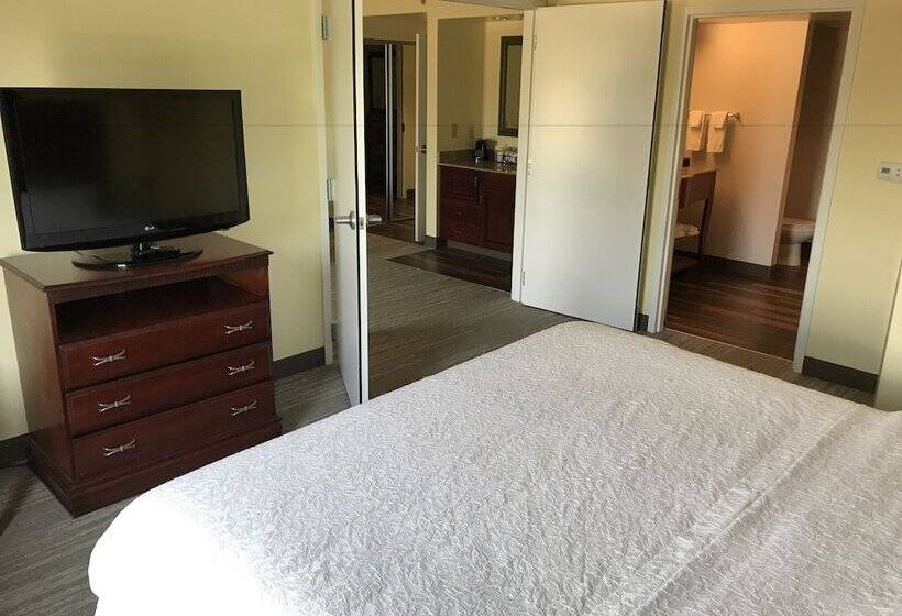 带按摩浴盆的套房, Hampton Inn & Suites Lamar