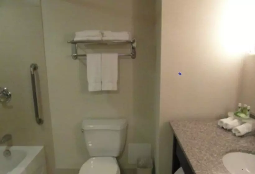Sviitti, Holiday Inn Express Hotel & Suites Brockville, An Ihg