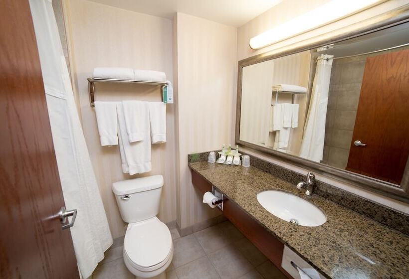 スイート, Holiday Inn Express & Suites Drayton Valley, An Ihg