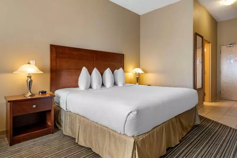 キングサイズベッドのスタンダードルーム, Quality Inn & Suites