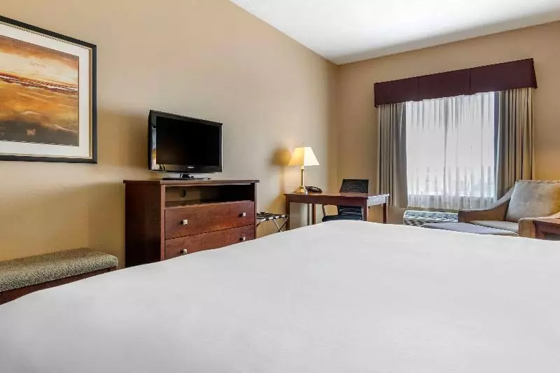 キングサイズベッドのスタンダードルーム, Quality Inn & Suites