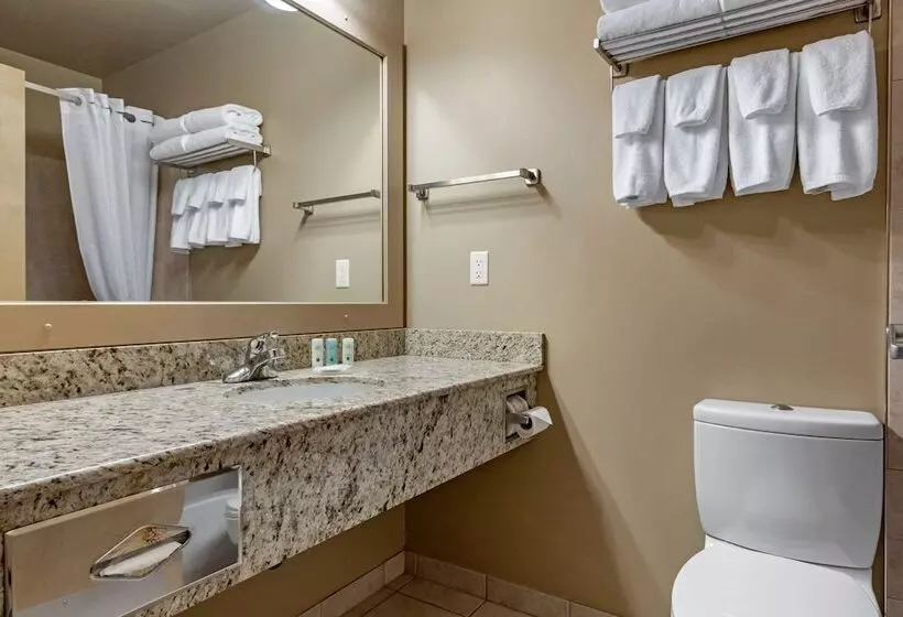 デラックスルーム, Quality Inn & Suites