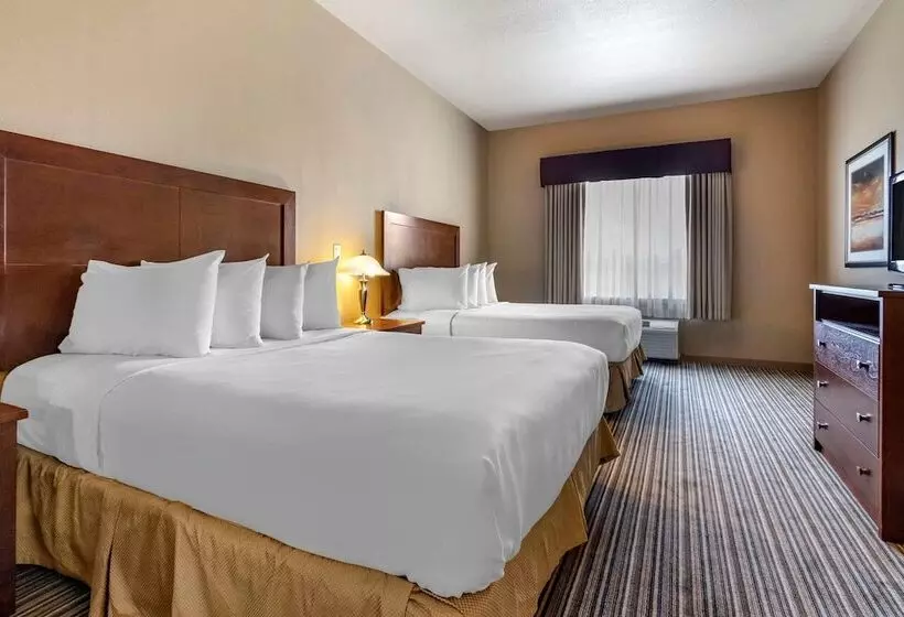 デラックスルーム, Quality Inn & Suites
