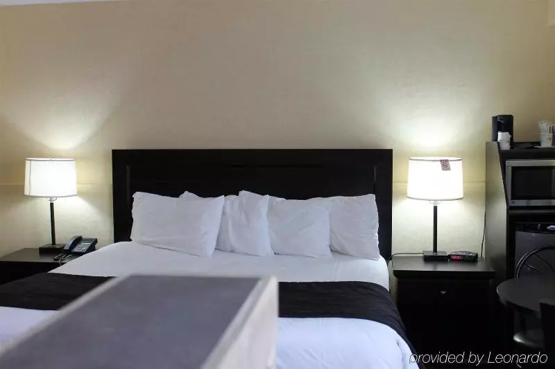 Standard-huone King-vuode, Travelodge By Wyndham Sarnia