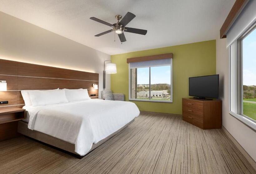 Номер Executive Кровать Кинг, Holiday Inn Express Hotel & Suites Opelika Auburn, An Ihg