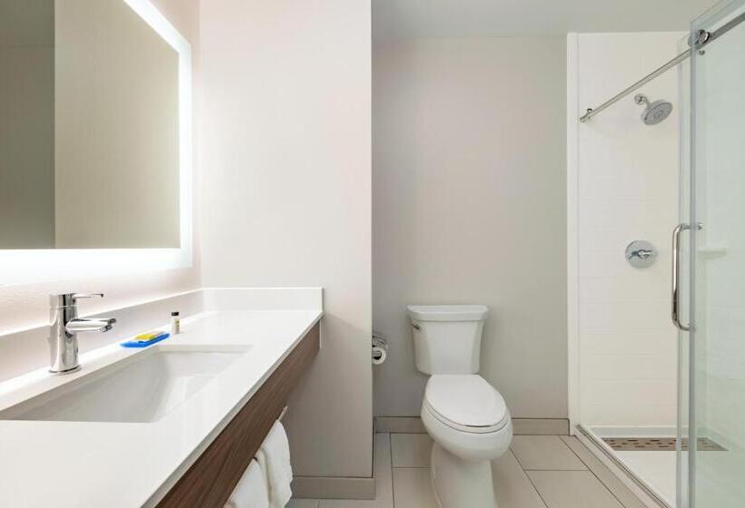 Стандартный Номер Кровать Кинг, Holiday Inn Express Hotel & Suites Opelika Auburn, An Ihg