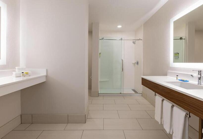 Люкс Кровать Кинг, Holiday Inn Express Hotel & Suites Opelika Auburn, An Ihg
