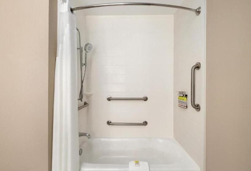 جناح لذوى الاحتياجات الخاصة, Holiday Inn Express Hotel & Suites Opelika Auburn, An Ihg