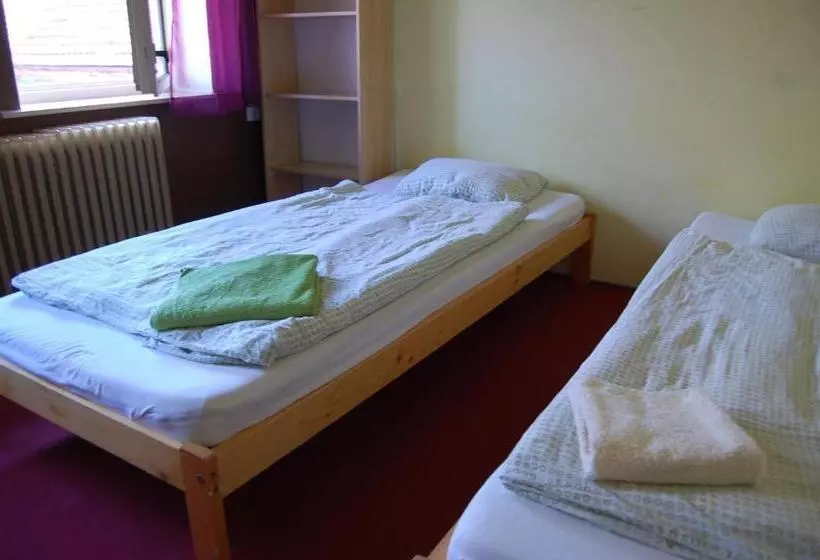 Standard-huone Jaettu Kylpyhuone, Hostel Fléda