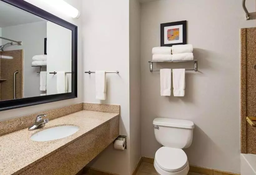 اتاق استاندارد با تخت بزرگ برای معلولان, Best Western Plus Philadelphia Choctaw Hotel And Suites