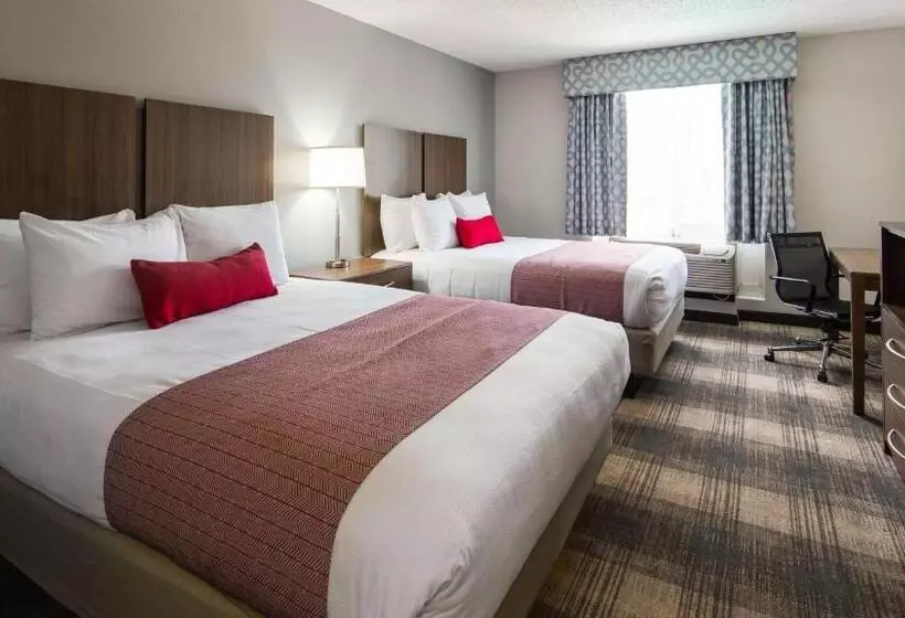 اتاق استاندارد برای معلولان, Best Western Plus Philadelphia Choctaw Hotel And Suites