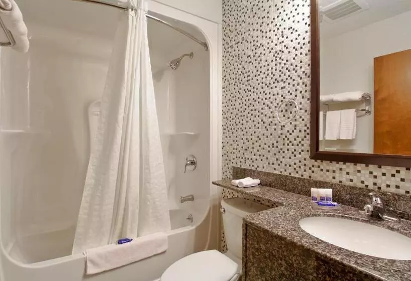 キングサイズベッドのデラックススイート, Best Western Plus Woodstock Inn & Suites