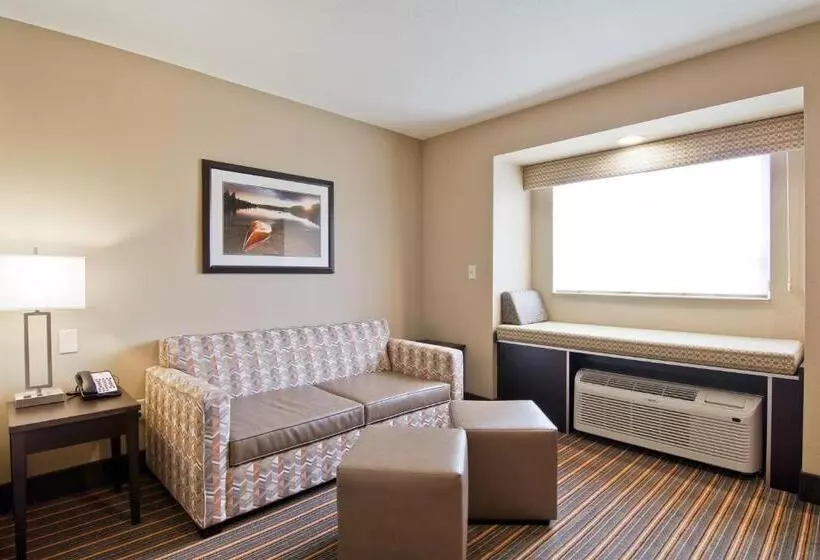 キングサイズベッドのデラックススイート, Best Western Plus Woodstock Inn & Suites