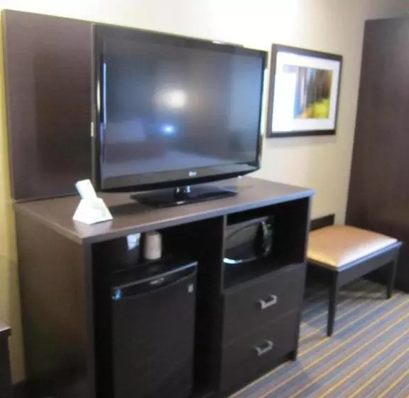 キングサイズベッドのスタンダードルーム, Best Western Plus Woodstock Inn & Suites