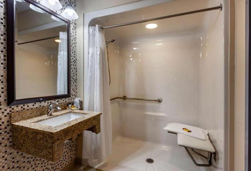 غرفة قياسية سرير كينج, Best Western Plus Woodstock Inn & Suites