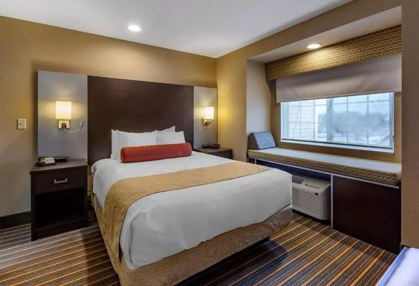 身障者適用キングサイズベッドルーム, Best Western Plus Woodstock Inn & Suites