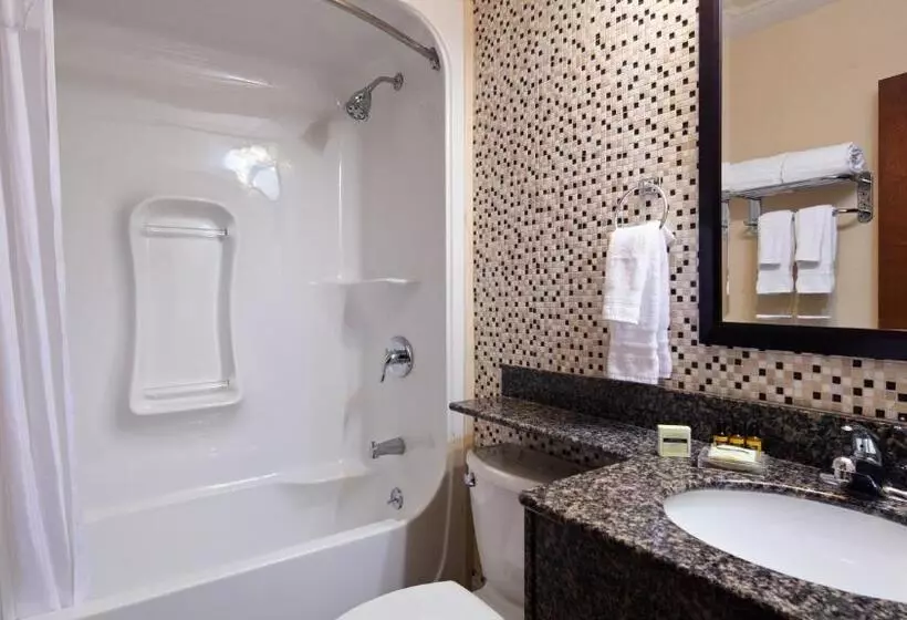 キングサイズベッドのスイートルーム, Best Western Plus Woodstock Inn & Suites