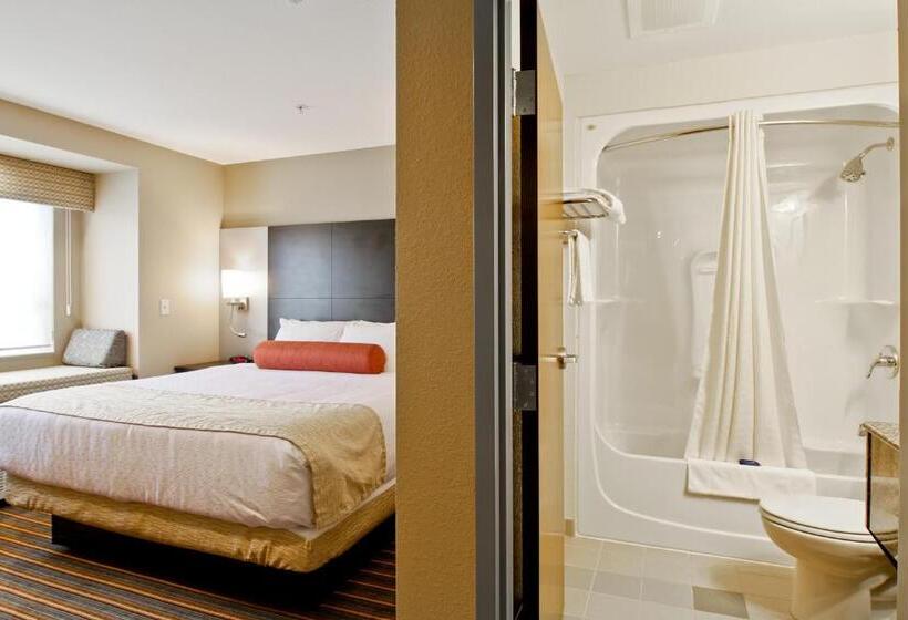 غرفة قياسية لذوى الاحتياجات الخاصة, Best Western Plus Woodstock Inn & Suites