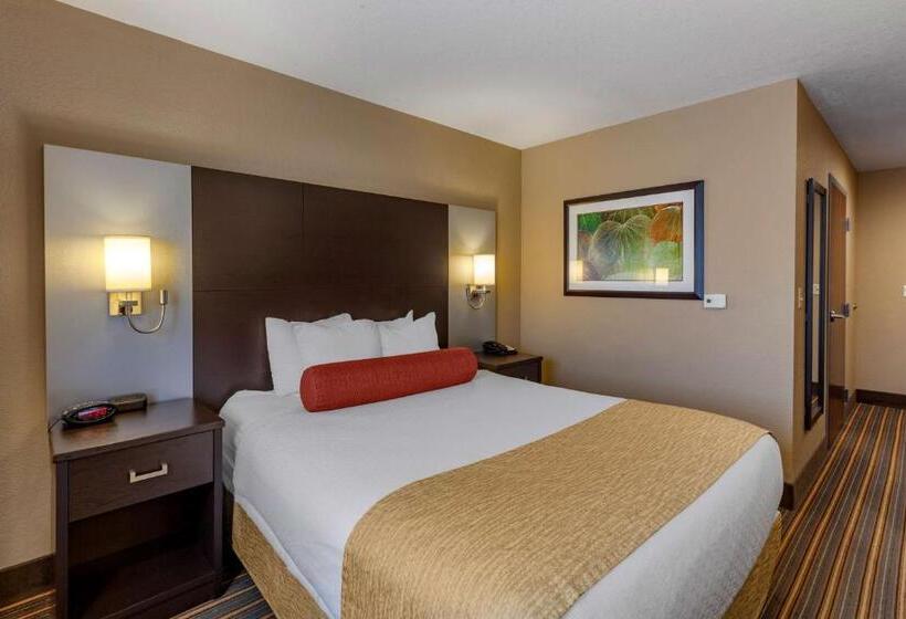 غرفة قياسية لذوى الاحتياجات الخاصة, Best Western Plus Woodstock Inn & Suites