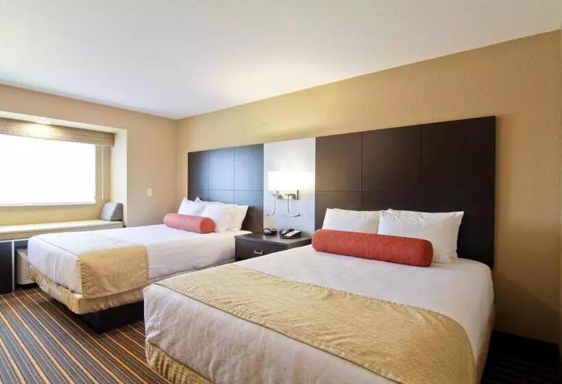 スタンダードルーム, Best Western Plus Woodstock Inn & Suites