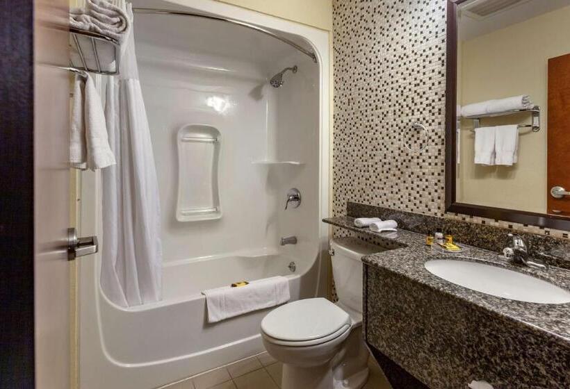 غرفة قياسية, Best Western Plus Woodstock Inn & Suites