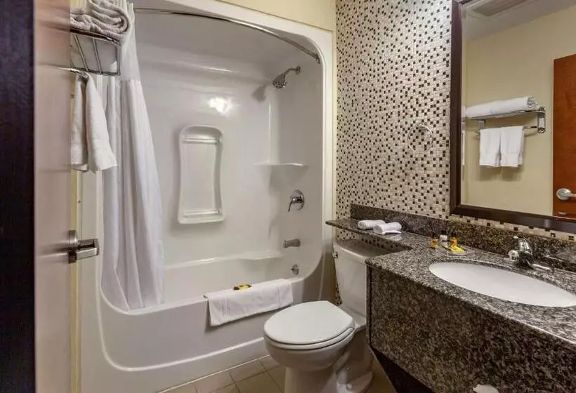スタンダードルーム, Best Western Plus Woodstock Inn & Suites
