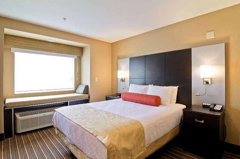 غرفة قياسية سرير كينج, Best Western Plus Woodstock Inn & Suites