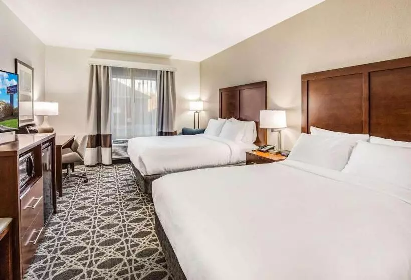 スタンダードルーム, Comfort Inn & Suites