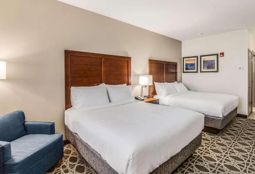 标准间, Comfort Inn & Suites