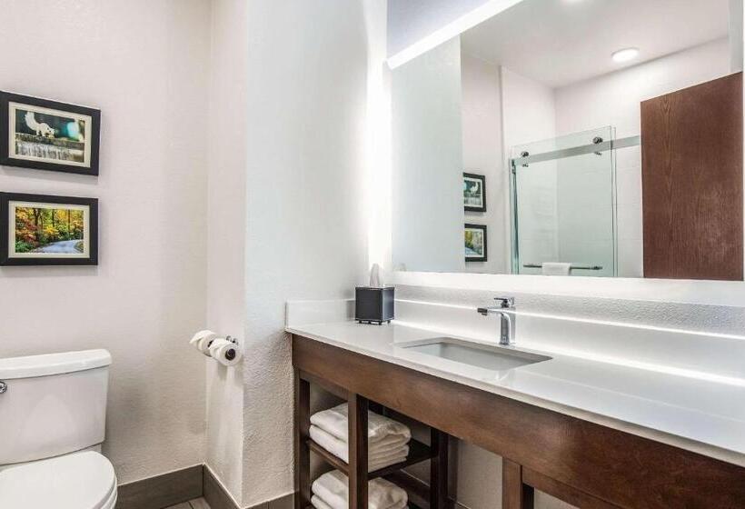 Номер Стандарт, Comfort Inn & Suites