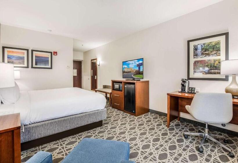 带大床的标准间, Comfort Inn & Suites