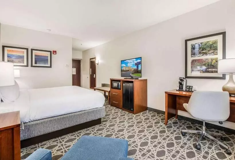 キングサイズベッドのスタンダードルーム, Comfort Inn & Suites