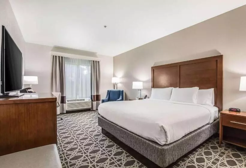 キングサイズベッドのスタンダードルーム, Comfort Inn & Suites