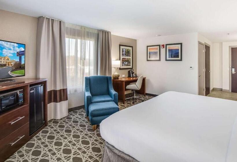 适合残疾人士使用的带超级大床的标准间, Comfort Inn & Suites