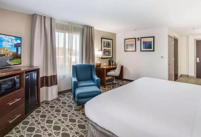 身障者適用キングサイズベッドルーム, Comfort Inn & Suites