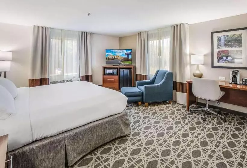 身障者適用キングサイズベッドルーム, Comfort Inn & Suites