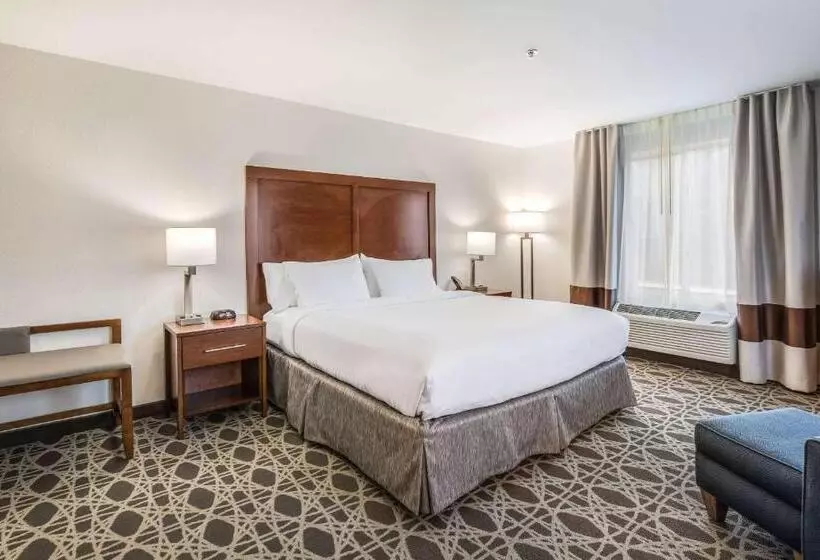 身障者適用キングサイズベッドルーム, Comfort Inn & Suites