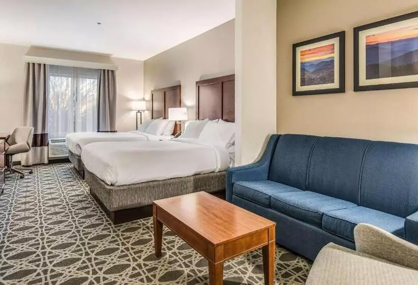 身障者適用スイートルーム, Comfort Inn & Suites
