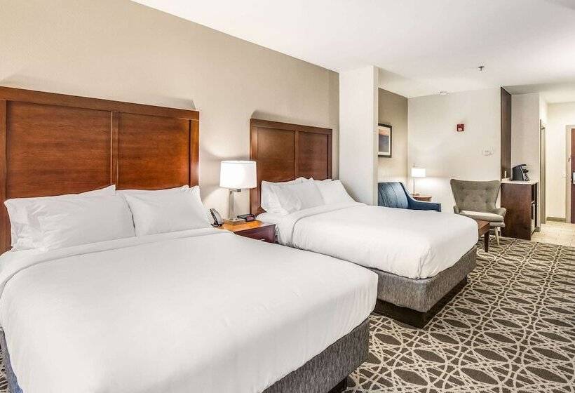 Люкс Адаптированный для Инвалидов, Comfort Inn & Suites
