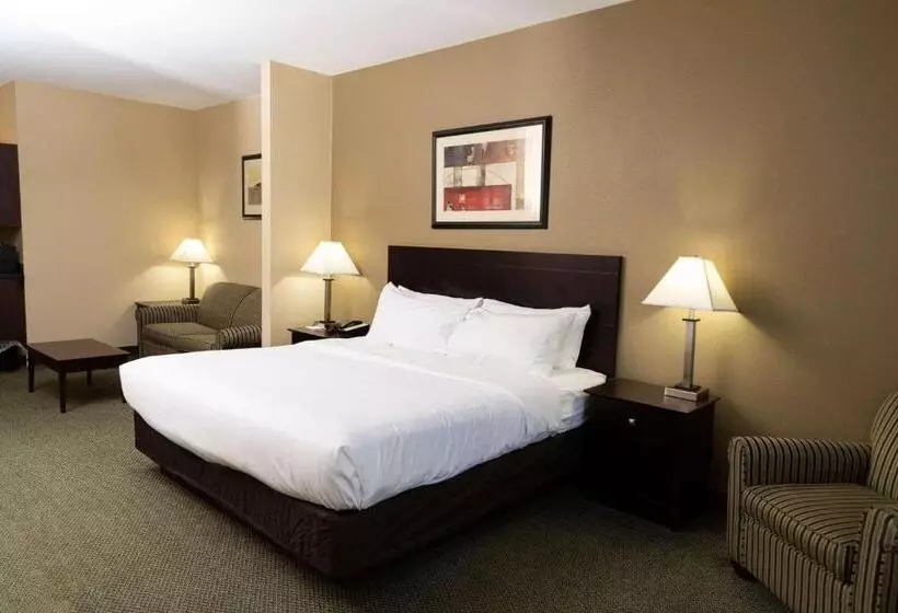 スイート, Country Inn & Suites By Radisson, Elizabethtown, Ky